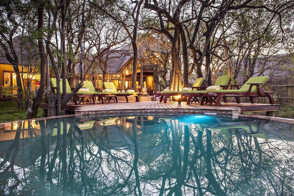 Tambuti Lodge Pilanesberg Εξωτερικό φωτογραφία